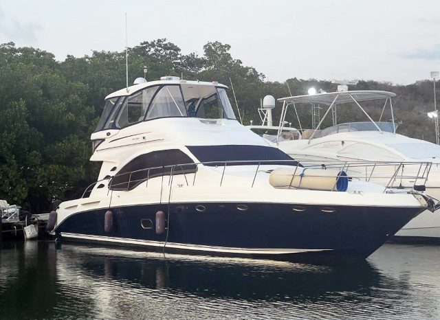 
								SEA RAY SEDAN BRIDGE 55 full									