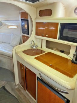 
										SEA RAY SUNDANCER 290 29 full									