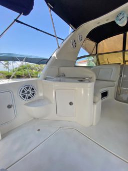 
										SEA RAY SUNDANCER 290 29 full									