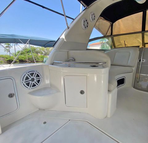 
								SEA RAY SUNDANCER 290 29 full									