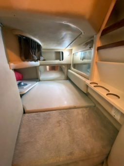 
										SEA RAY SUNDANCER 290 29 full									