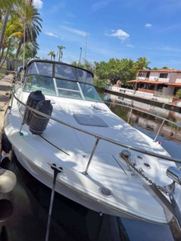 
										SEA RAY SUNDANCER 290 29 full									