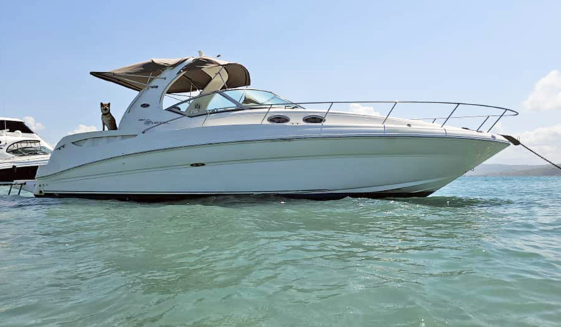 
								SEA RAY SUNDANCER 32 full									