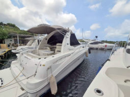 
										SEA RAY SUNDANCER 32 full									