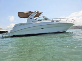 SEA RAY SUNDANCER 32