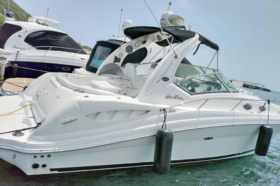 SEA RAY SUNDANCER 34