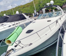 SEA RAY SUNDANCER 34