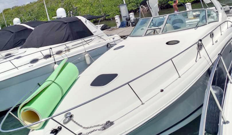 
								SEA RAY SUNDANCER 34 full									