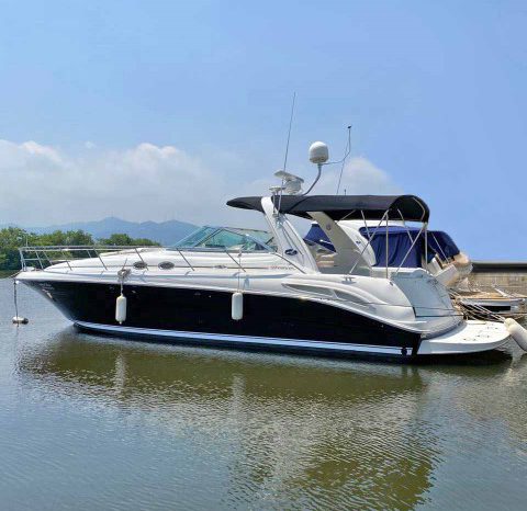 
								SEA RAY SUNDANCER 410 41 full									