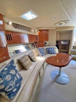 
										SEA RAY SUNDANCER 410 41 full									