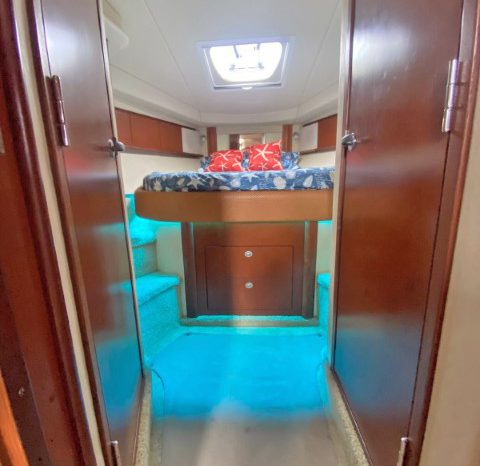 
								SEA RAY SUNDANCER 43 full									