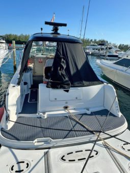 
										SEA RAY SUNDANCER 43 full									