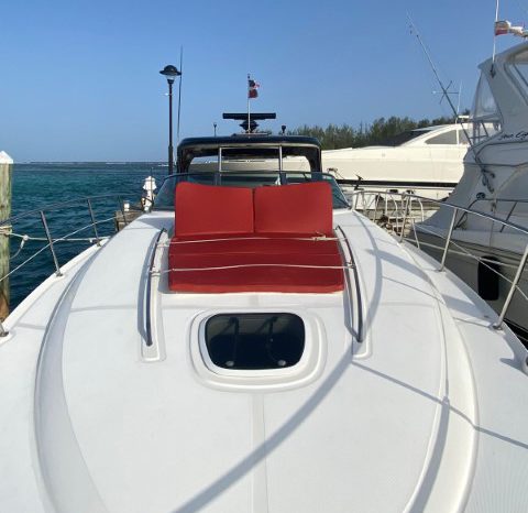 
								SEA RAY SUNDANCER 43 full									