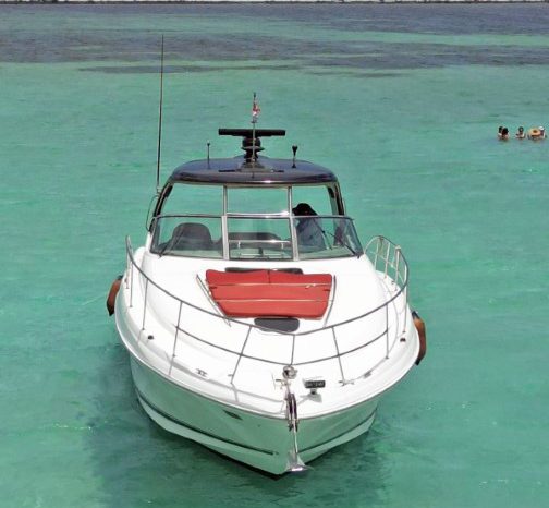 
								SEA RAY SUNDANCER 43 full									