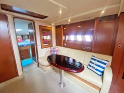 
										SEA RAY SUNDANCER 43 full									