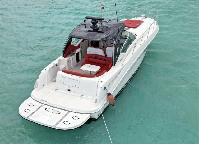 
								SEA RAY SUNDANCER 43 full									