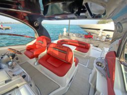 
										SEA RAY SUNDANCER 43 full									