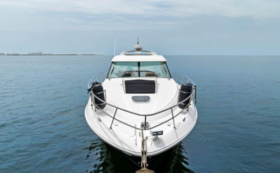 SEA RAY SUNDANCER 45