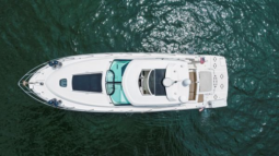 
										SEA RAY SUNDANCER 45 full									