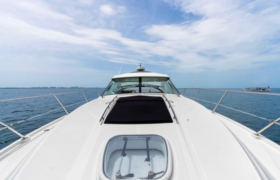 SEA RAY SUNDANCER 45