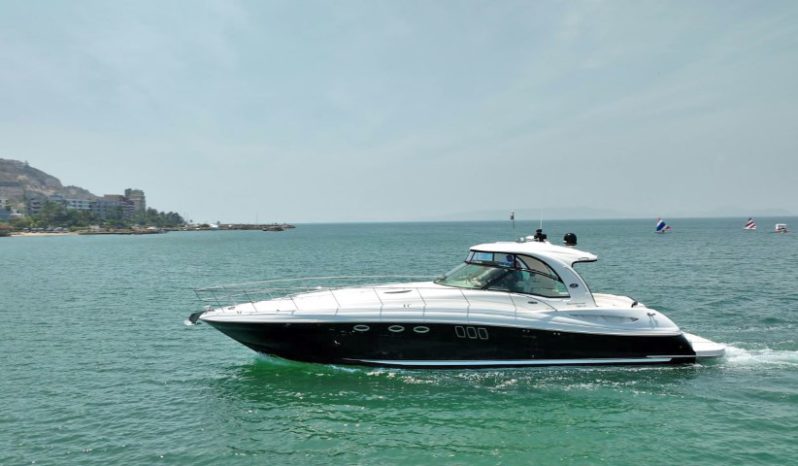 
								SEA RAY SUNDANCER 52 full									