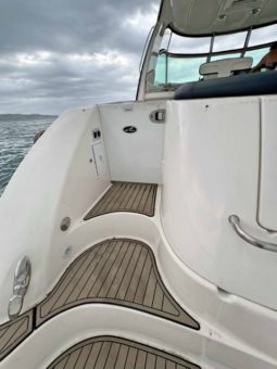 
										SEA RAY SUNDANCER 52 full									