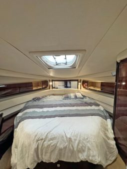 
										SEA RAY SUNDANCER 52 full									