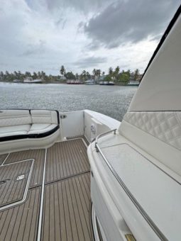 
										SEA RAY SUNDANCER 52 full									