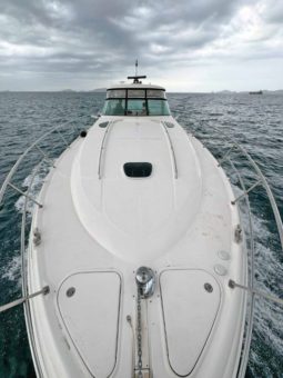 SEA RAY SUNDANCER 52