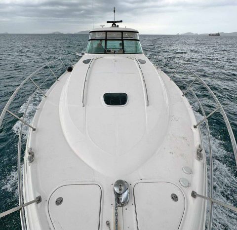 
								SEA RAY SUNDANCER 52 full									