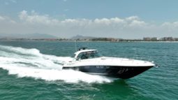 
										SEA RAY SUNDANCER 52 full									