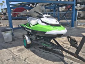 SEA DOO EDICION ESPECIAL