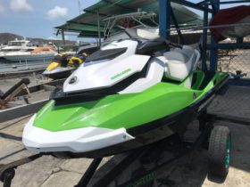 SEA DOO EDICION ESPECIAL