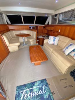 
										SILVERTON YACHTS CONVERTIBLE 42 full									