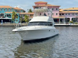 
										SILVERTON YACHTS CONVERTIBLE 42 full									