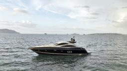 
										SUNSEEKER PREDATOR 62 full									