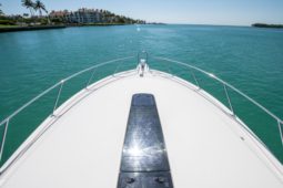 
										TIARA YACHTS OPEN 43 full									