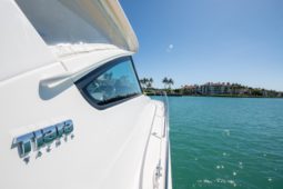 
										TIARA YACHTS OPEN 43 full									