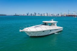 
										TIARA YACHTS OPEN 43 full									