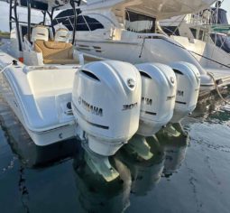 
										TRIPLETA YAMAHA 300 HP full									