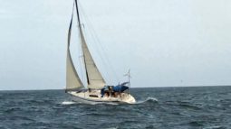 
										VELERO BENETEAUR FIRTS 35 full									