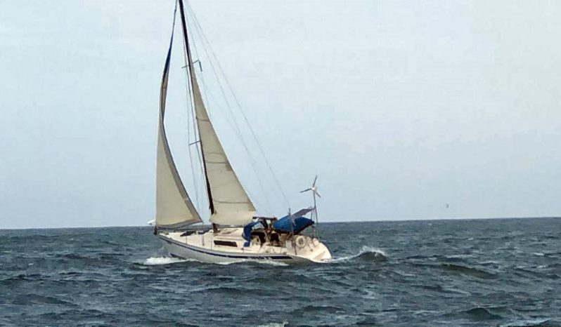 
								VELERO BENETEAUR FIRTS 35 full									