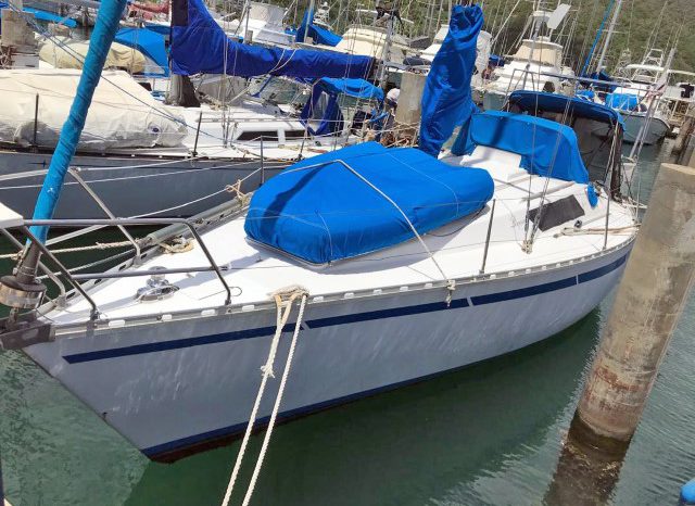 
								VELERO BENETEAUR FIRTS 35 full									