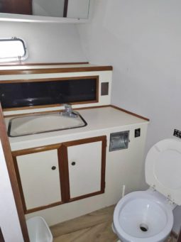 
										VIKING CABIN 43 full									