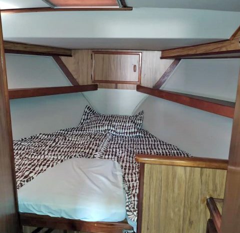 
								VIKING CABIN 43 full									