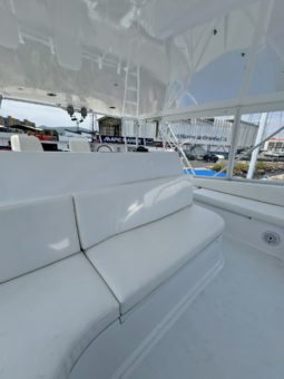 
										VIKING CONVERTIBLE 58 full									