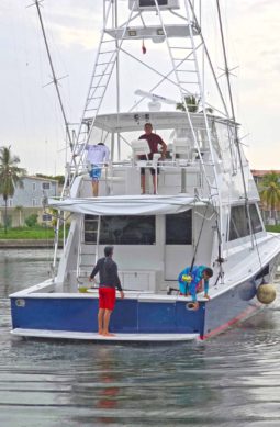 
										VIKING CONVERTIBLE 58 full									