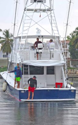 
										VIKING CONVERTIBLE 58 full									