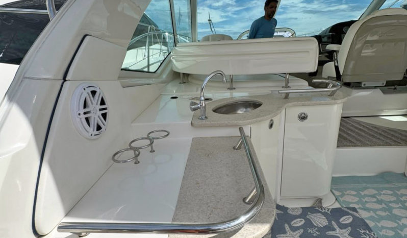 
								SEA RAY SUNDANCER 48 full									