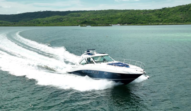 
								SEA RAY SUNDANCER 48 full									